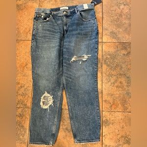 Abercrombie & Fitch High Rise Mom Jeans - Size 34L - NWT